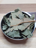 Avocado Leaf