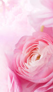 April Fresh Candle