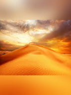 Golden Sand U Type