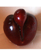Cherry Pussy Type