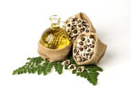 Moringa Essential Oil, Refined
