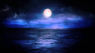 Forever Midnight Type