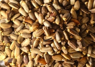Milk Thistle Seed (Silybum marianum) whole dried seeds from Scent'Serely Yours Apothecary