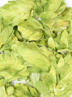 Hops (Lupolo)